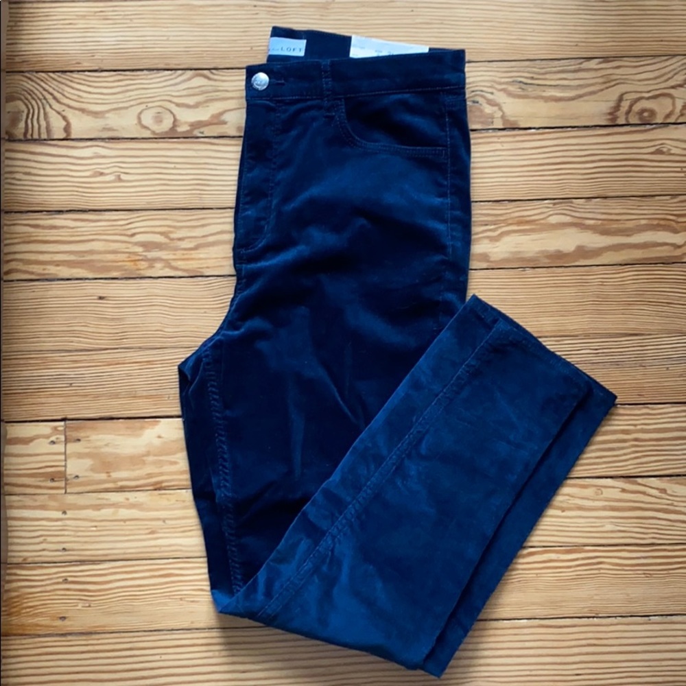 Loft Velvet Pants